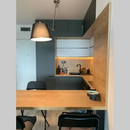 Apartment Modern Studio Apartment With Balcony *